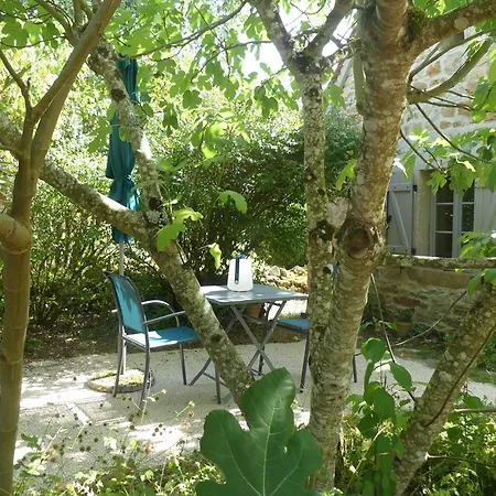 Fleurs D'eau, Le Hameau Du Quercy, Charme, Calme, Piscine Naturelle Frontenac (Lot)